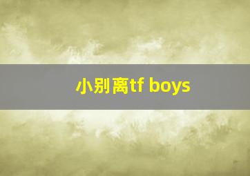 小别离tf boys